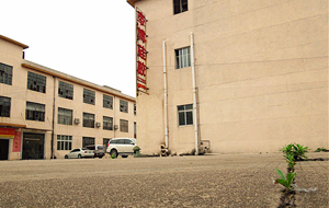 “論實力說話”專業(yè)硅膠制品廠家！